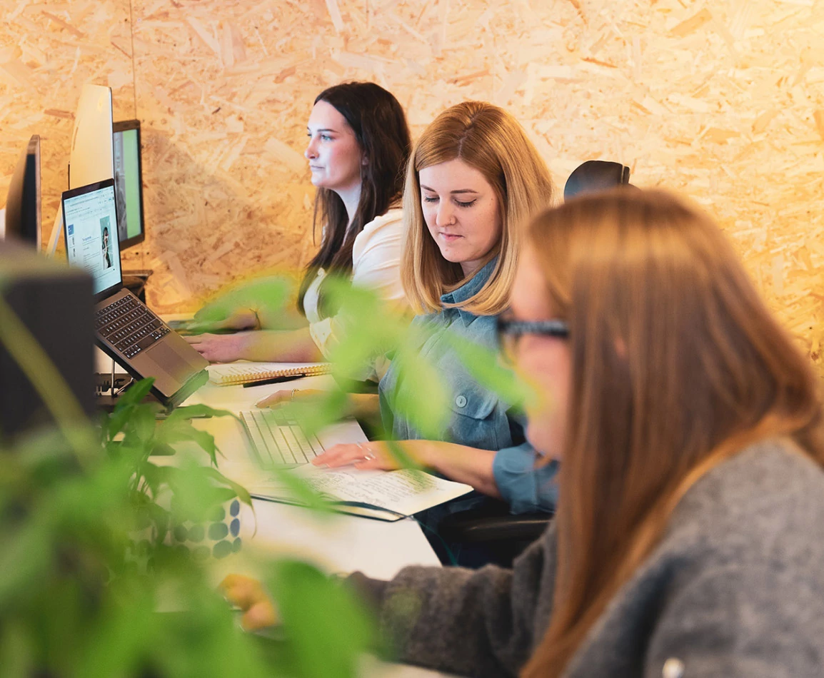 Tiff, Claire and Hannah working hard at their desks